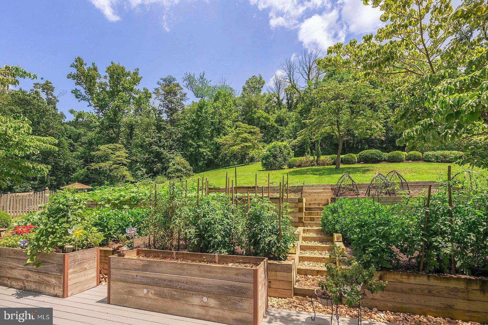 2087 Winchester Road Delaplane, VA 20144 - Photo 40 of 55 Gallery Image 40