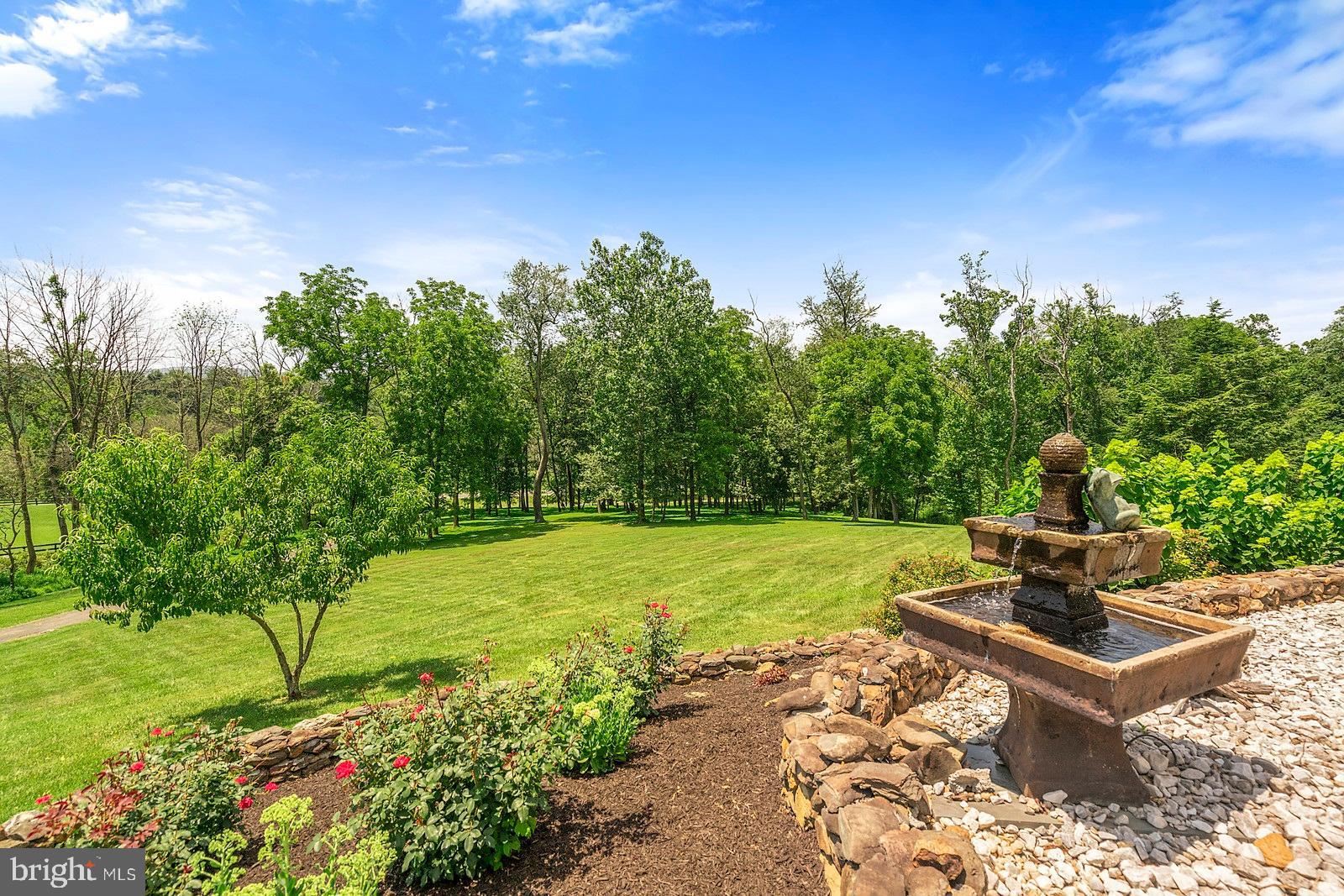 2087 Winchester Road Delaplane, VA 20144 - Photo 9 of 55 Gallery Image 9
