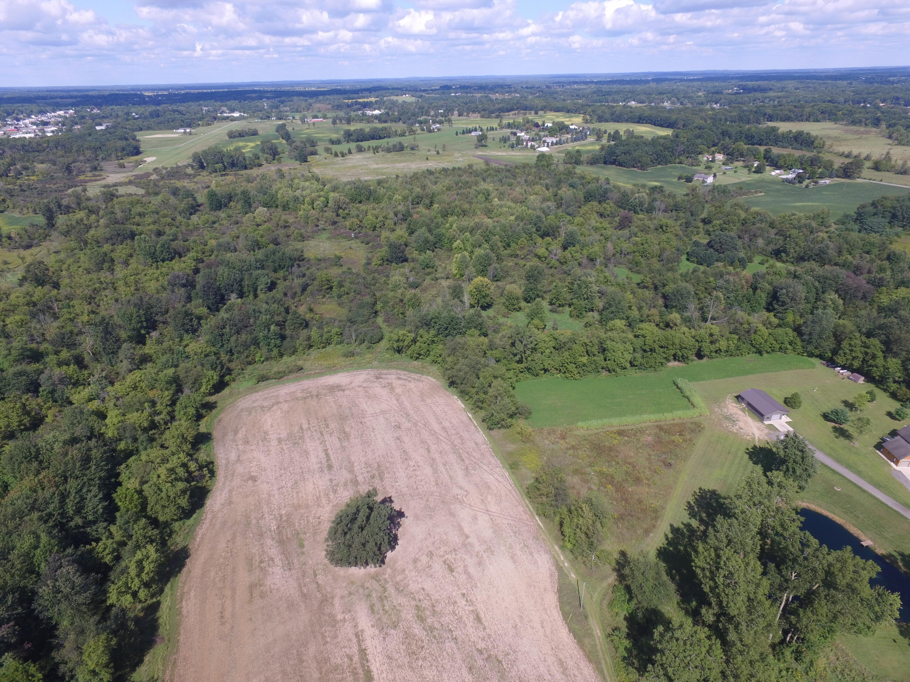 0 Daugherty Road Brooklyn, MI 49230 - Photo 18 of 39 DJI_0039