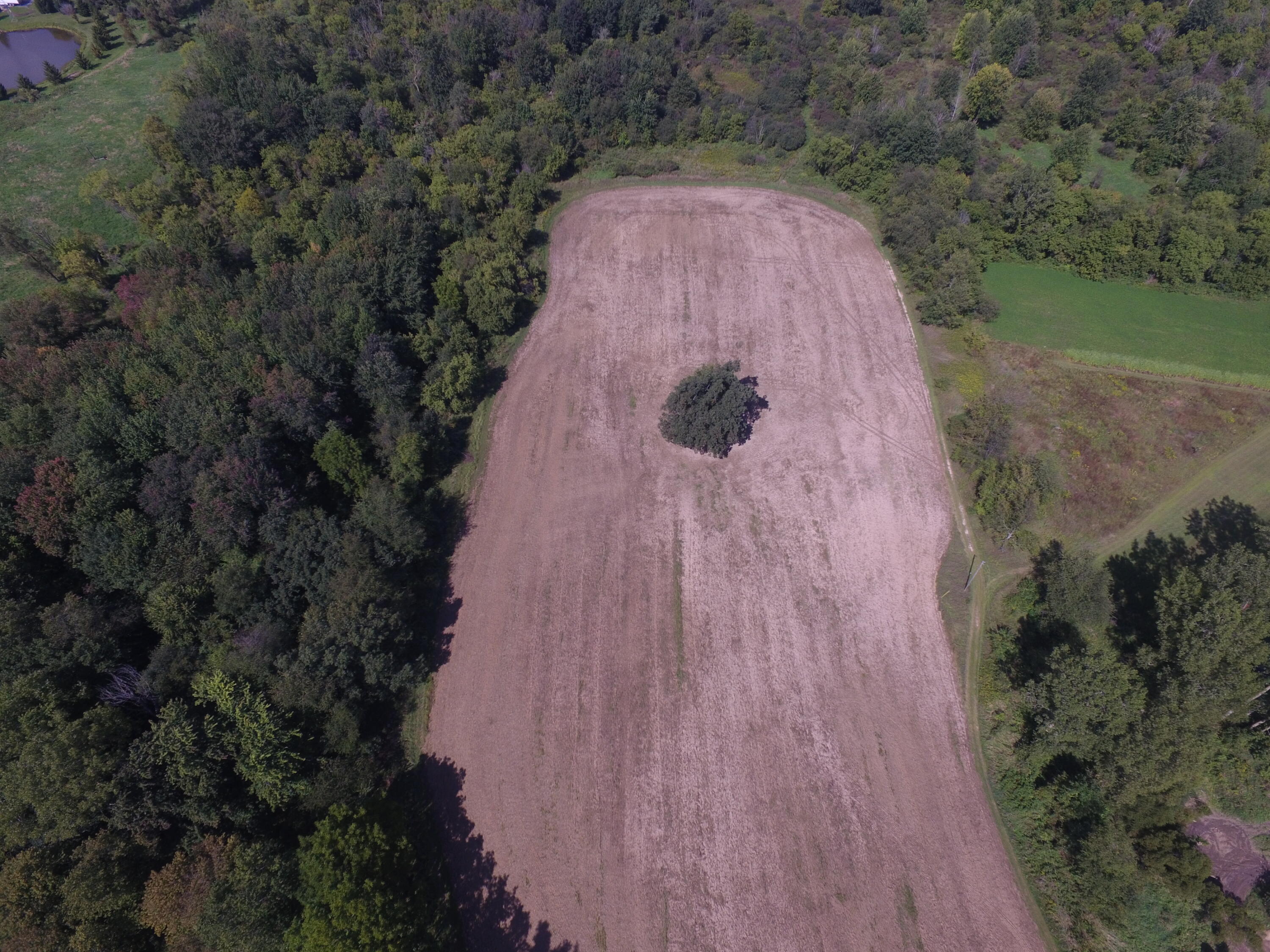 0 Daugherty Road Brooklyn, MI 49230 - Photo 20 of 39 DJI_0041