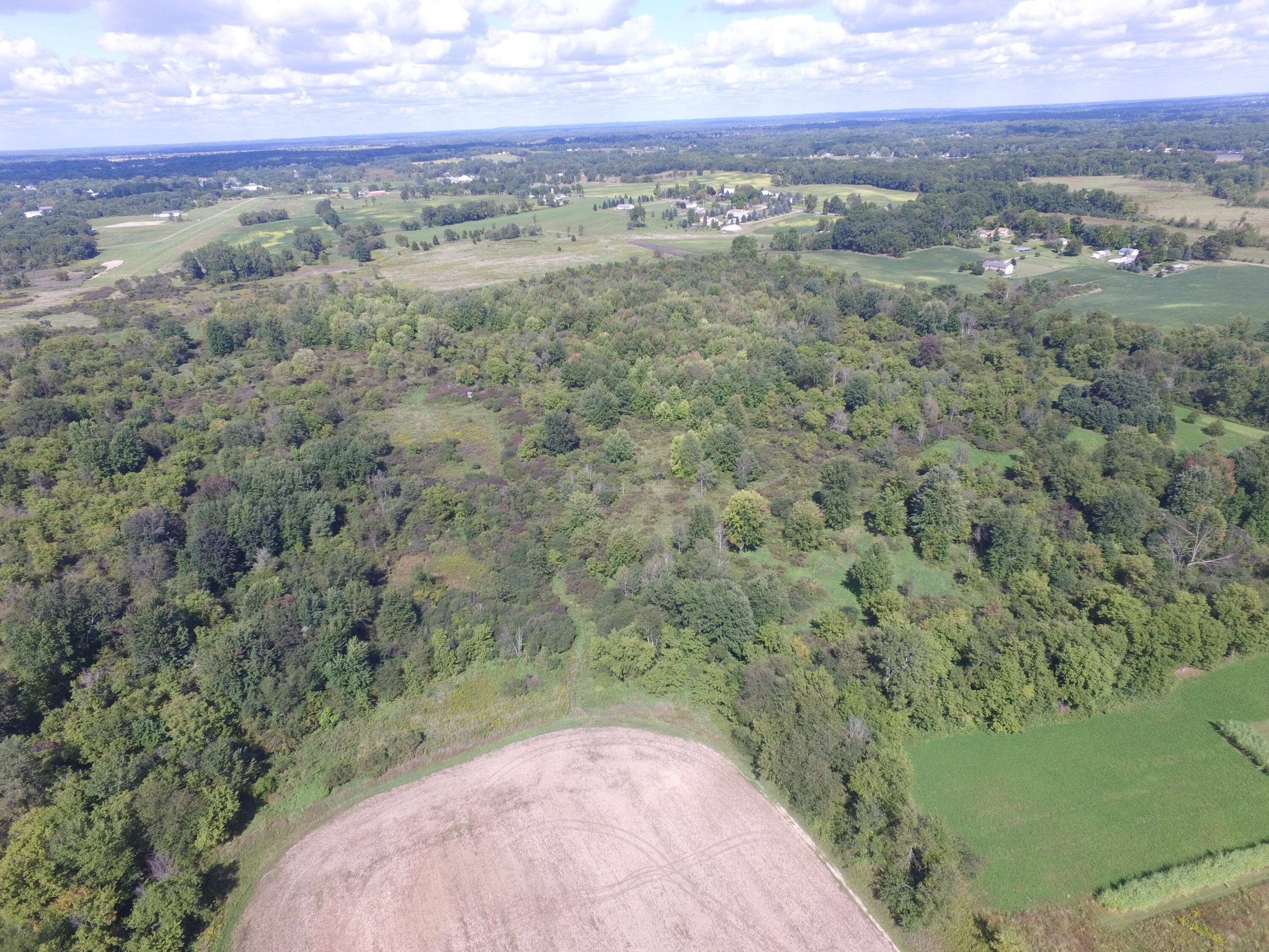 0 Daugherty Road Brooklyn, MI 49230 - Photo 23 of 39 DJI_0044
