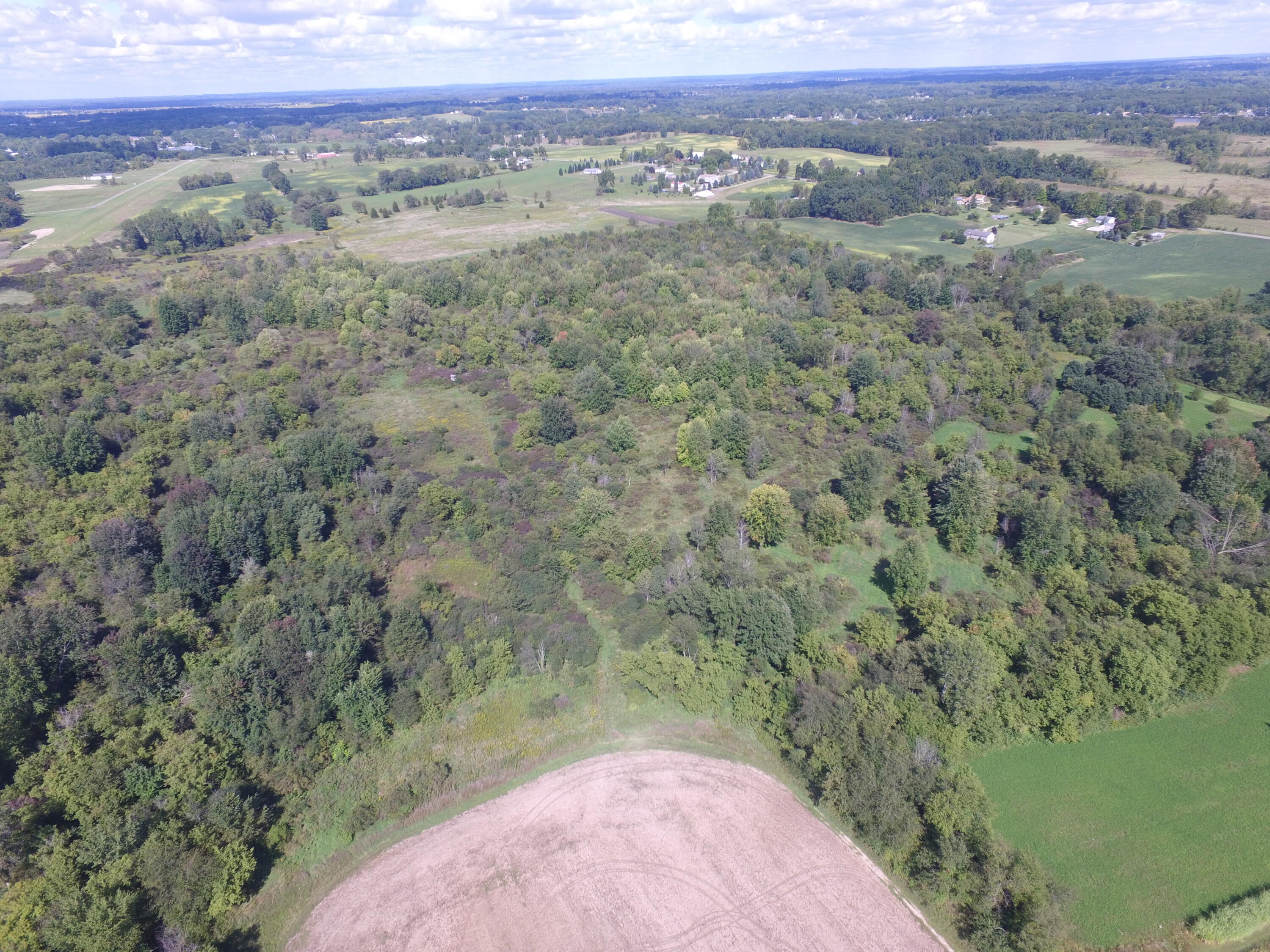 0 Daugherty Road Brooklyn, MI 49230 - Photo 25 of 39 DJI_0046