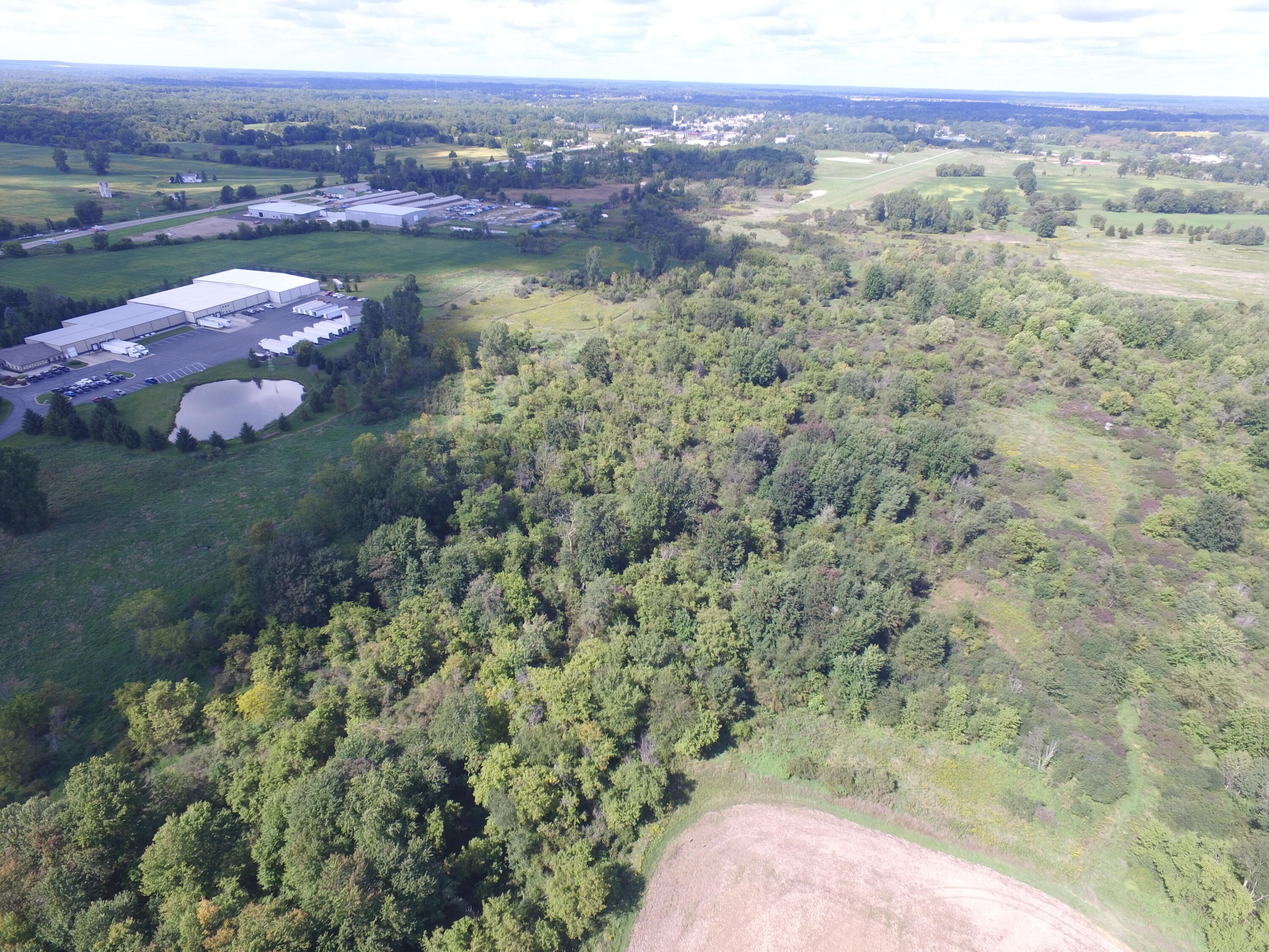0 Daugherty Road Brooklyn, MI 49230 - Photo 28 of 39 DJI_0049