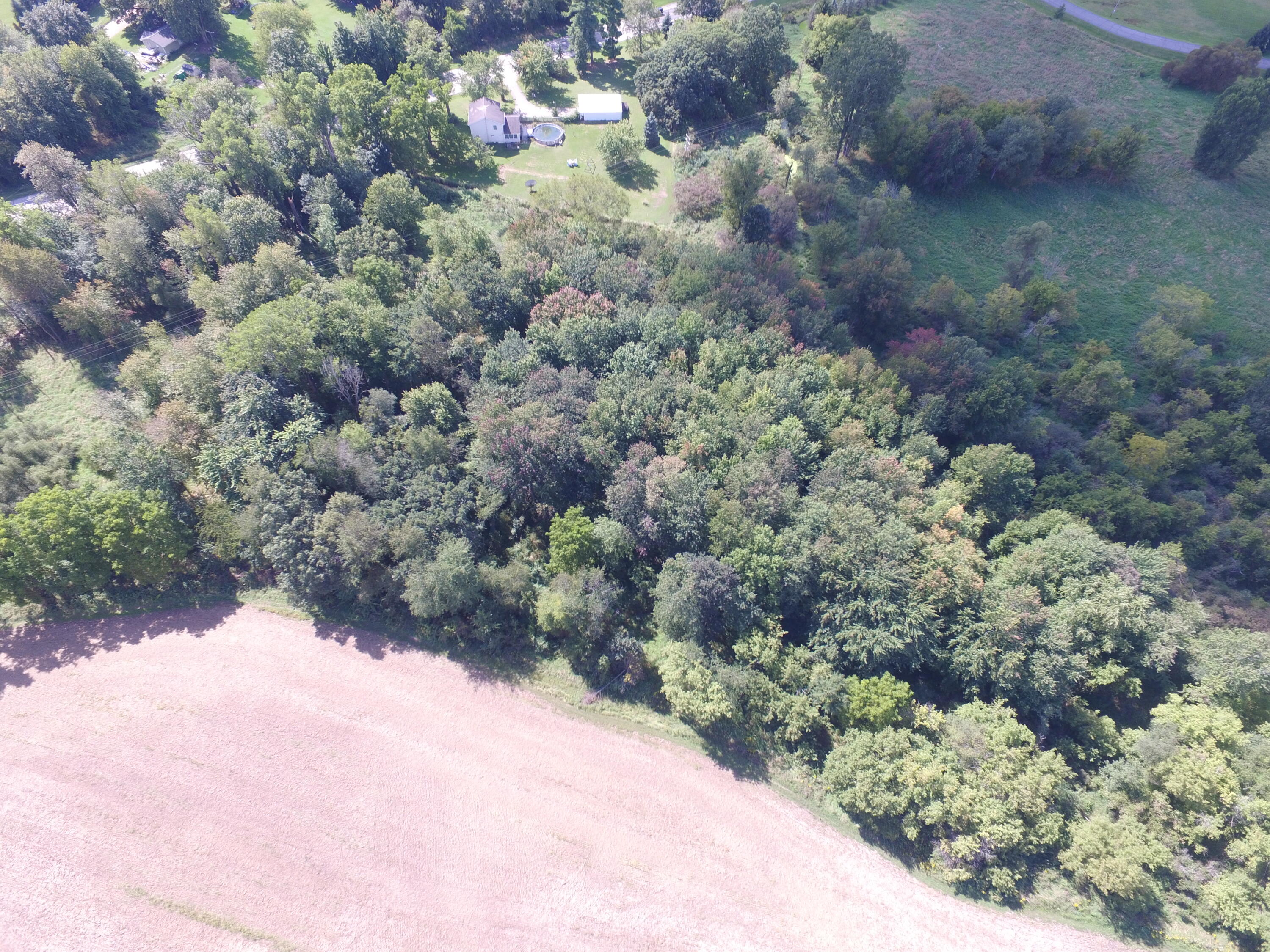 0 Daugherty Road Brooklyn, MI 49230 - Photo 30 of 39 DJI_0051
