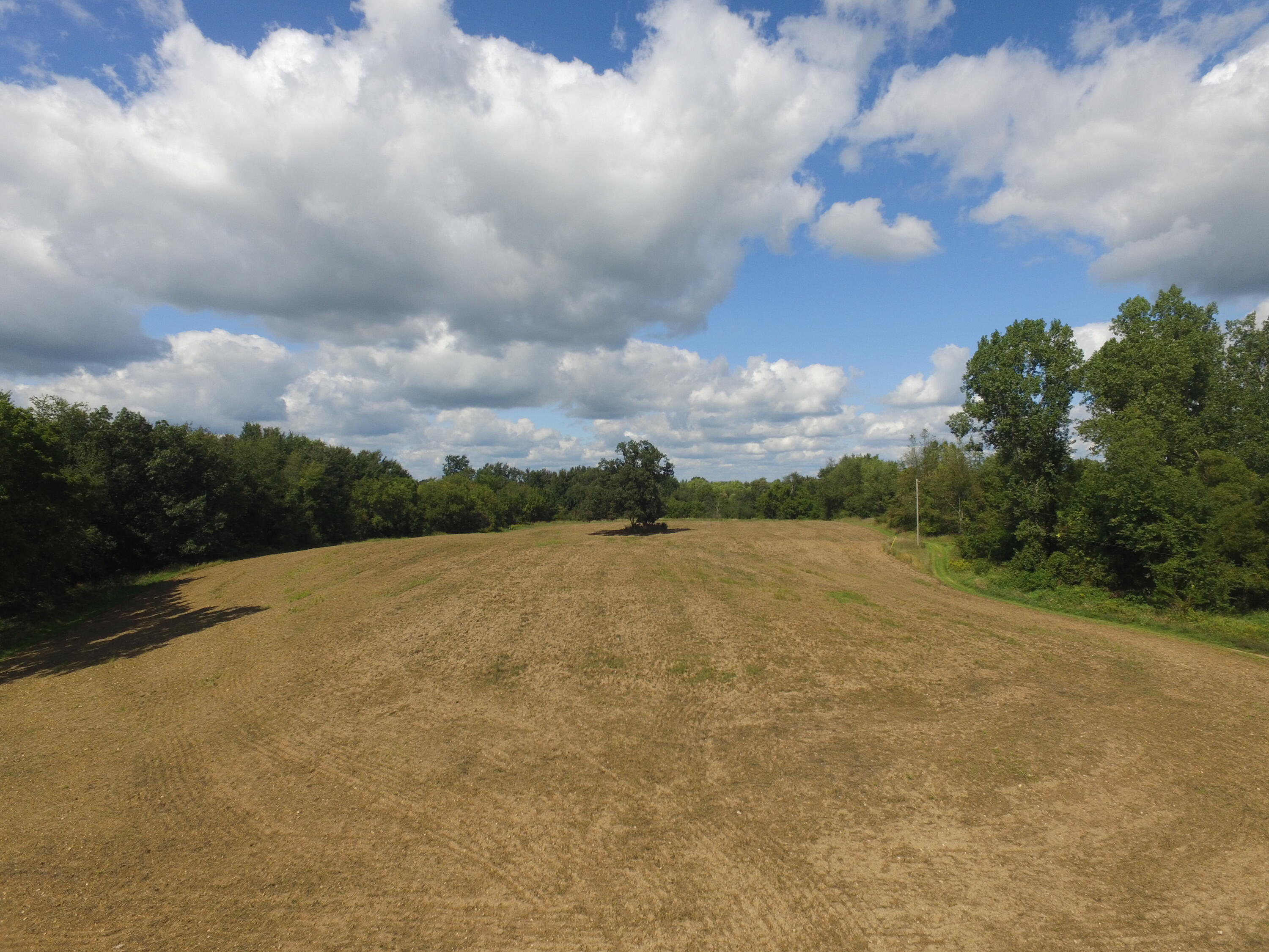 0 Daugherty Road Brooklyn, MI 49230 - Photo 3 of 39 DJI_0026