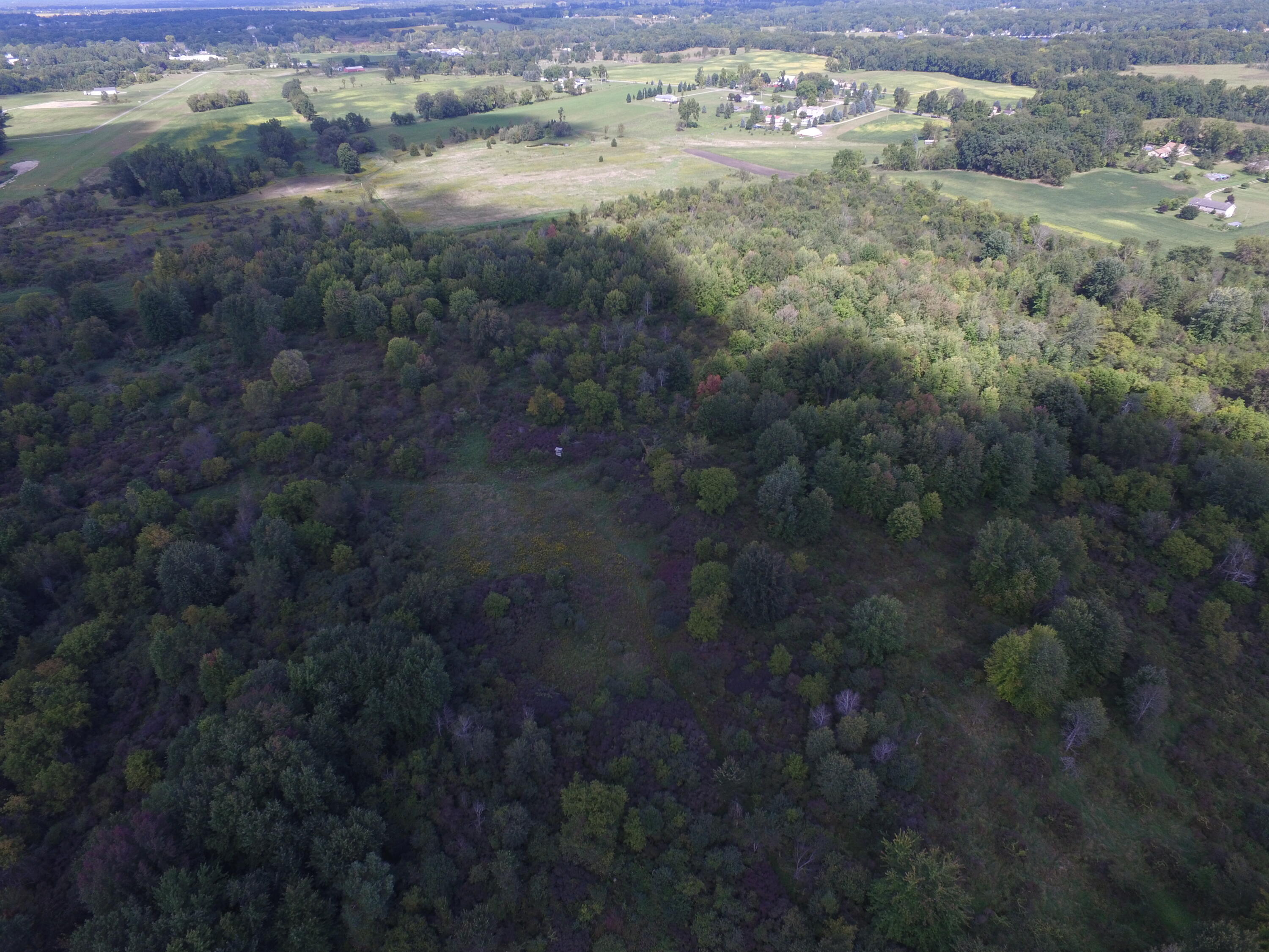 0 Daugherty Road Brooklyn, MI 49230 - Photo 38 of 39 DJI_0059
