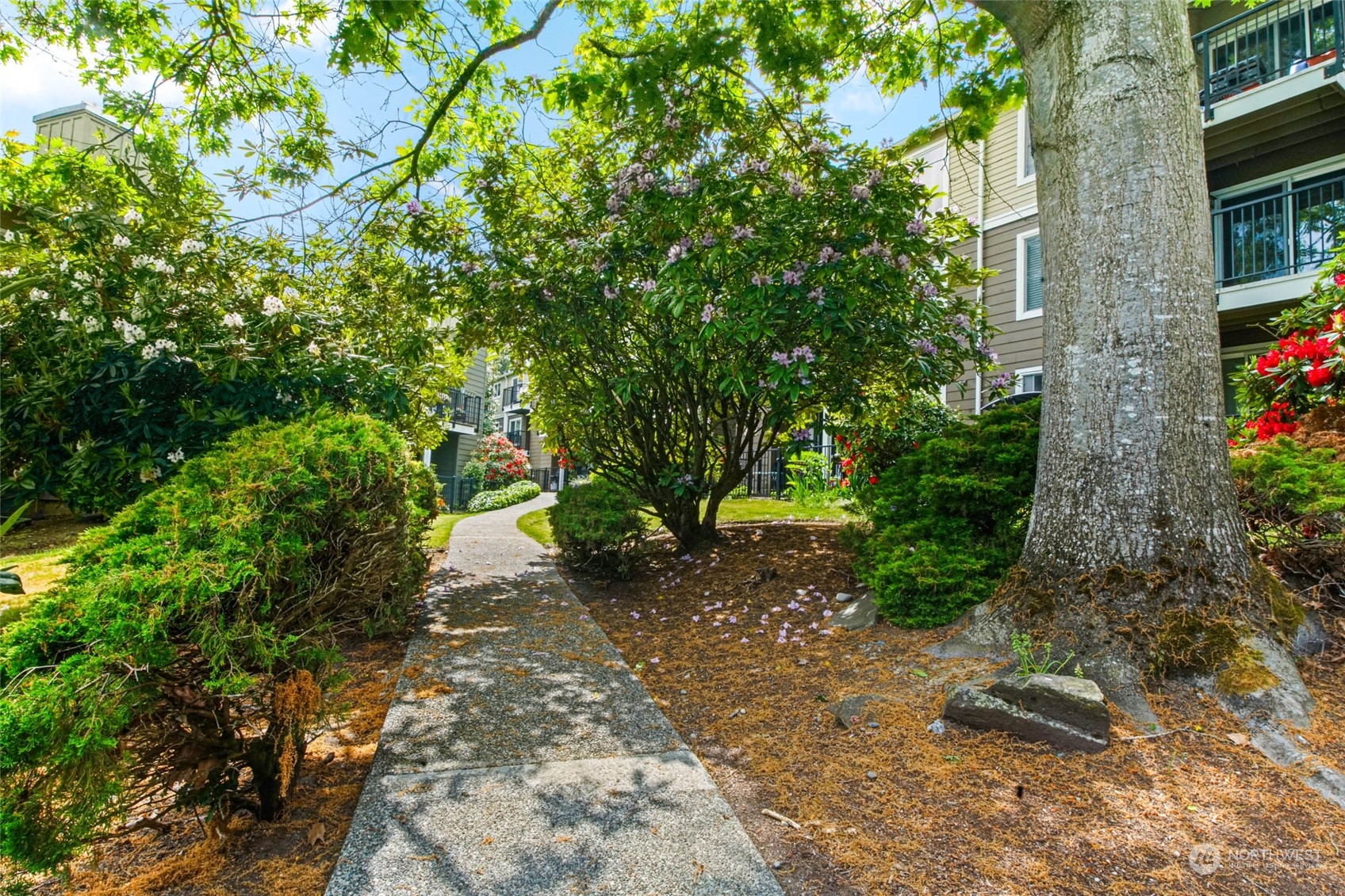 820 Cady Road, Unit A305 Everett, WA 98203 - Photo 18 of 26 a pathway of a house with a yard