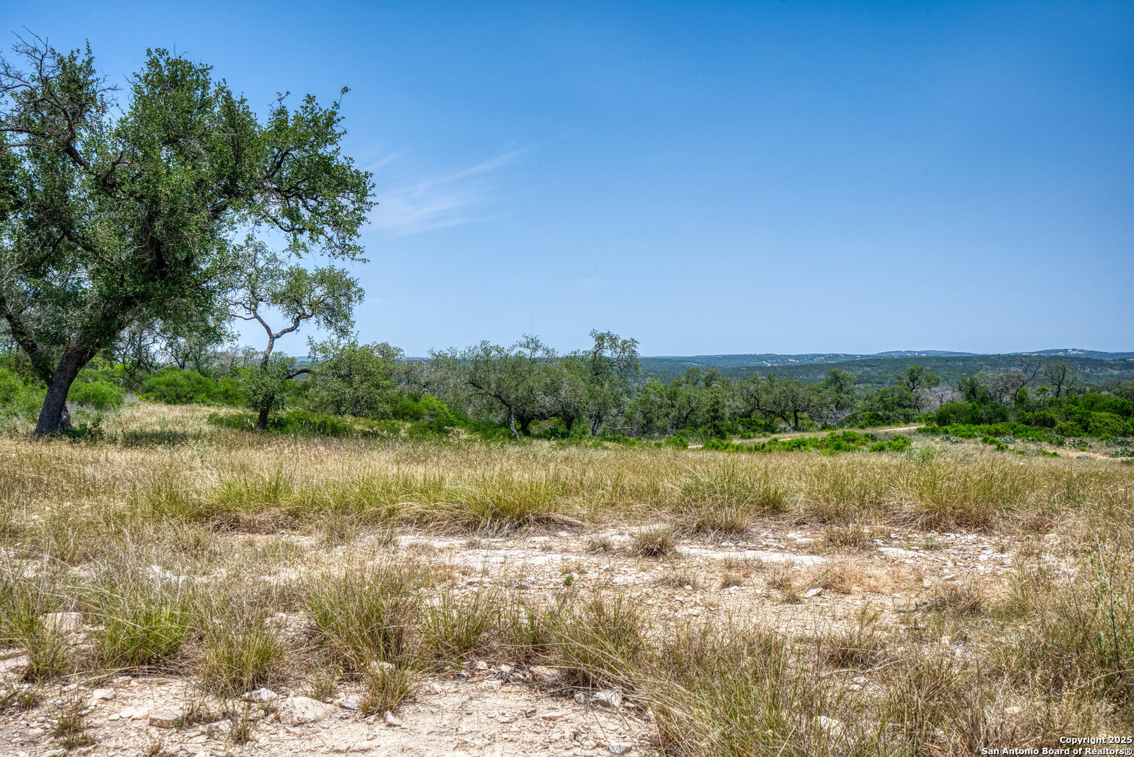 3044 County Road 2615 Rio Medina, TX 78066 - Photo 13 of 21