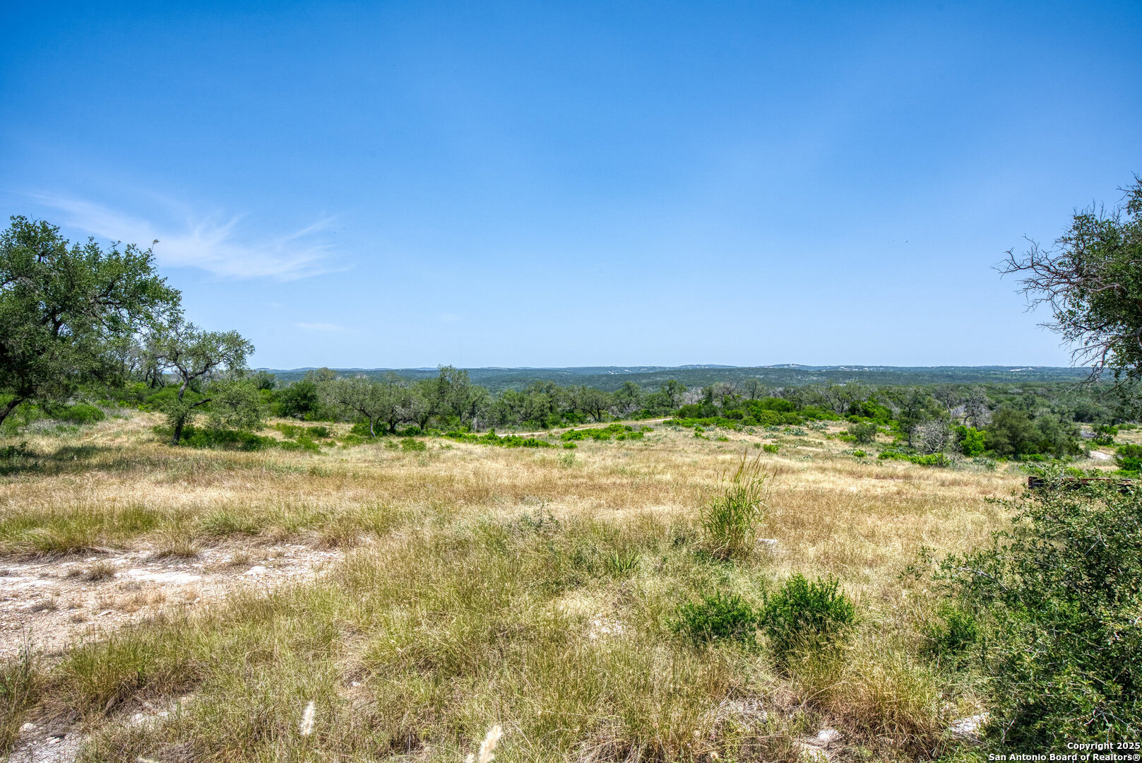 3044 County Road 2615 Rio Medina, TX 78066 - Photo 8 of 21