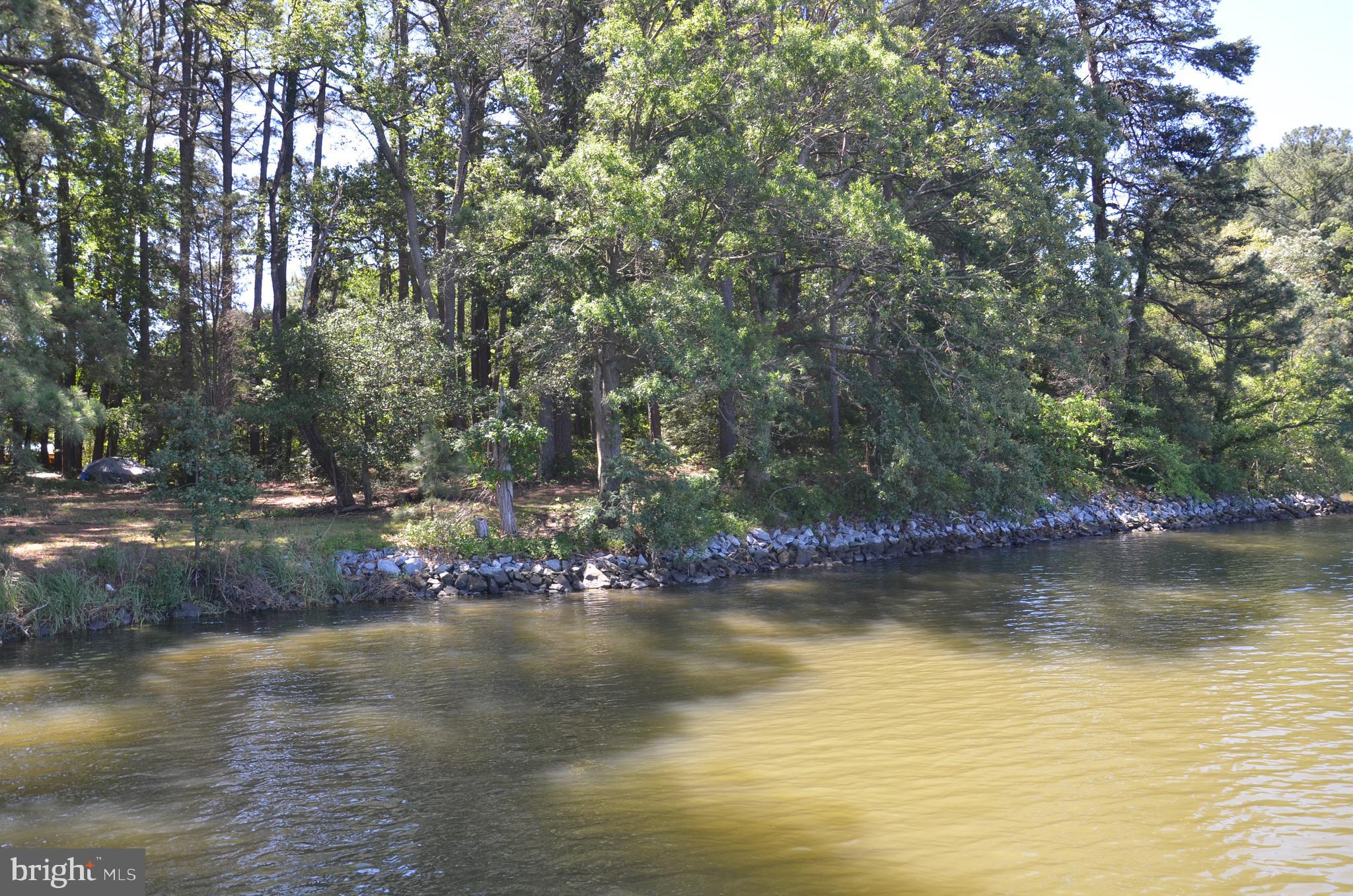 9020 Bozman Neavitt Road St. Michaels, MD 21663 - Photo 29 of 32 Protected shoreline