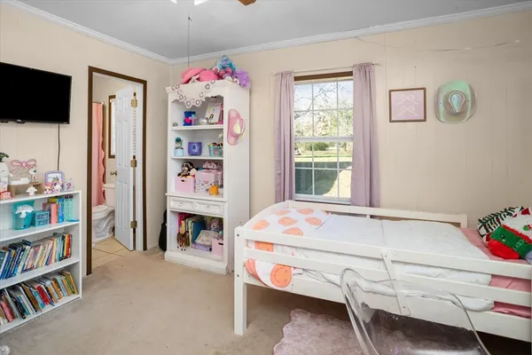 a bedroom with a bed and a bookshelf