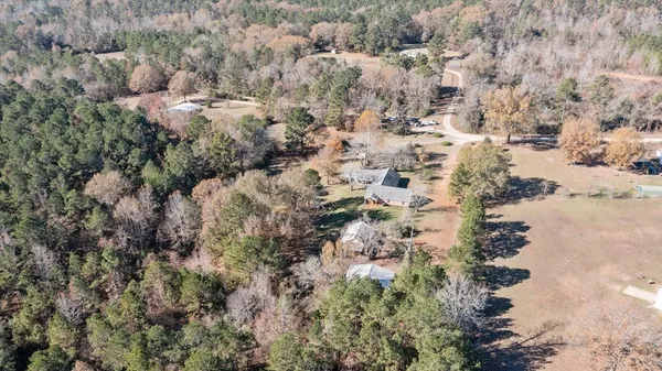 a view of a yard with trees
