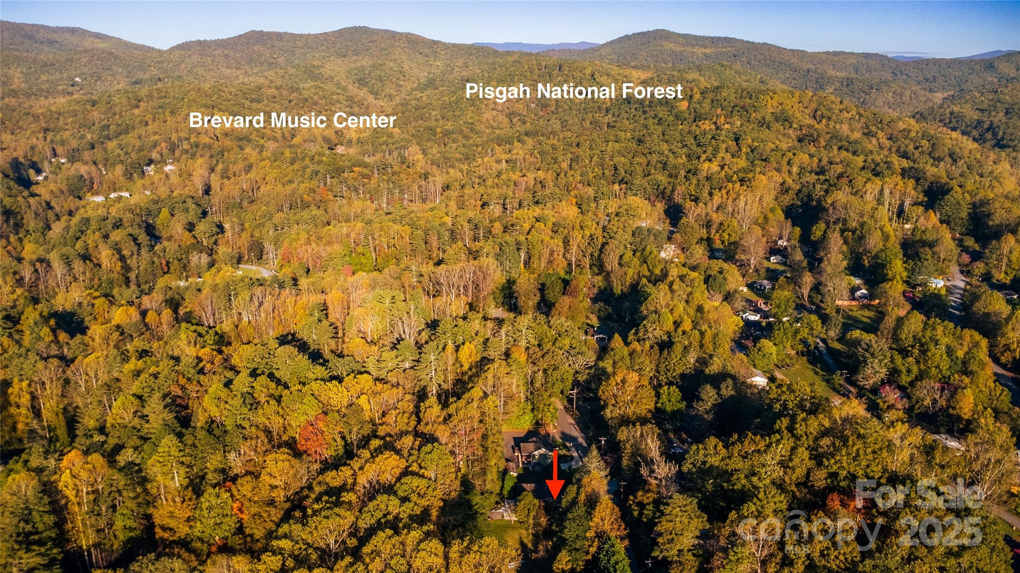 609 West Probart Street Brevard, NC 28712 - Photo 28 of 38 a view of a mountain