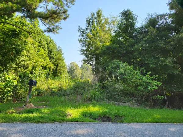 $150,000 | 0 Guess Road, Greeleyville, SC 29056