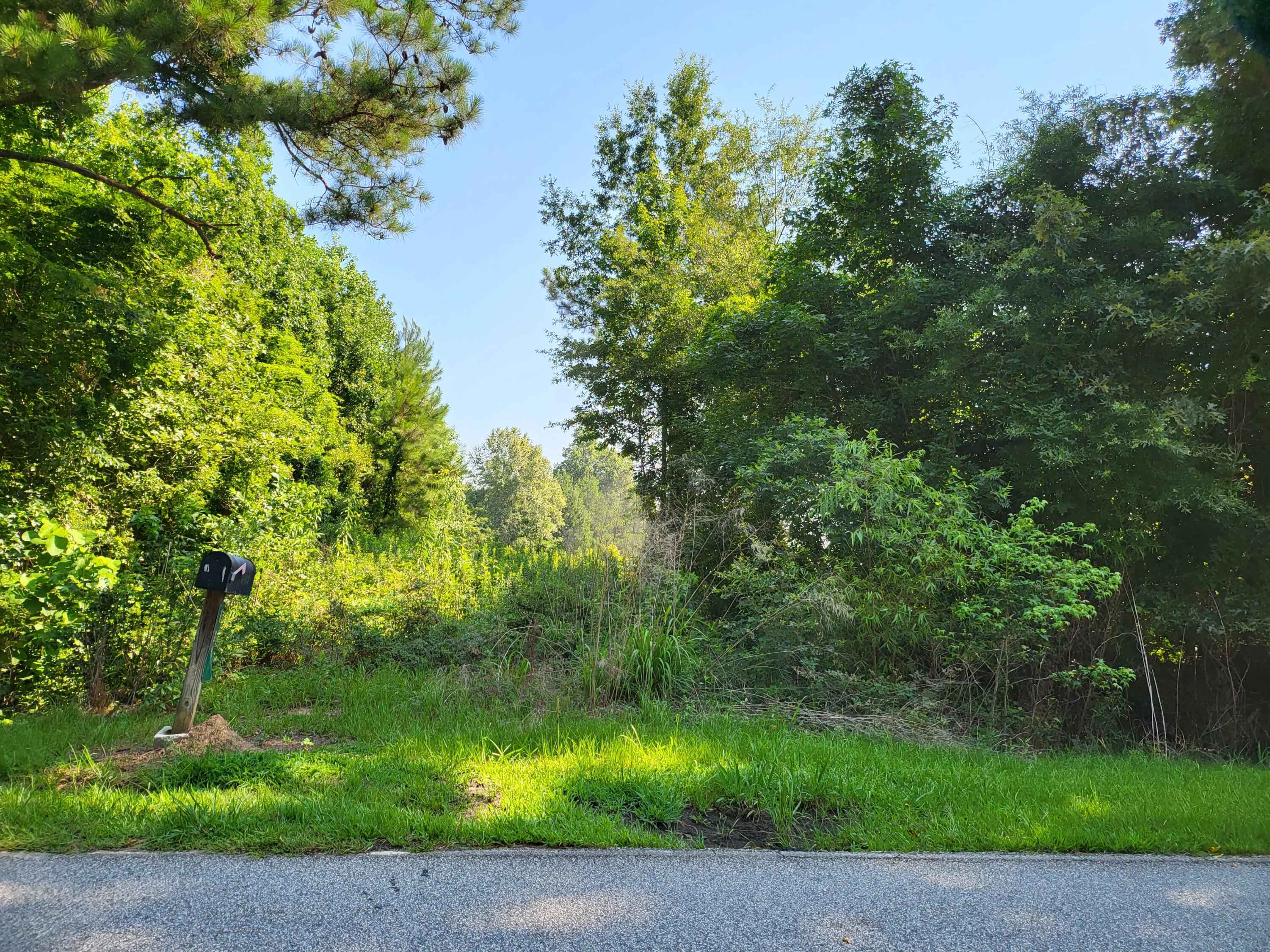 0 Guess Road Greeleyville, SC 29056 - Photo 3 of 5 20230628_103134