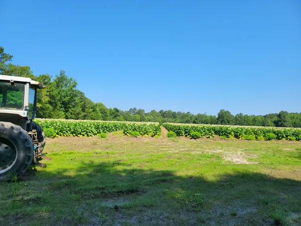 $150,000 | 0 Guess Road, Greeleyville, SC 29056