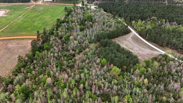 an aerial view of a house with a yard and trees all around