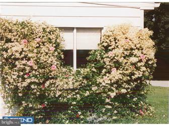 3131 Providence Road Eagleville, PA 19403 - Photo 3 of 5 Gallery Image 3