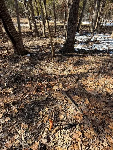 $9,000 | 0 Camille Court, Bonne Terre, MO 63628