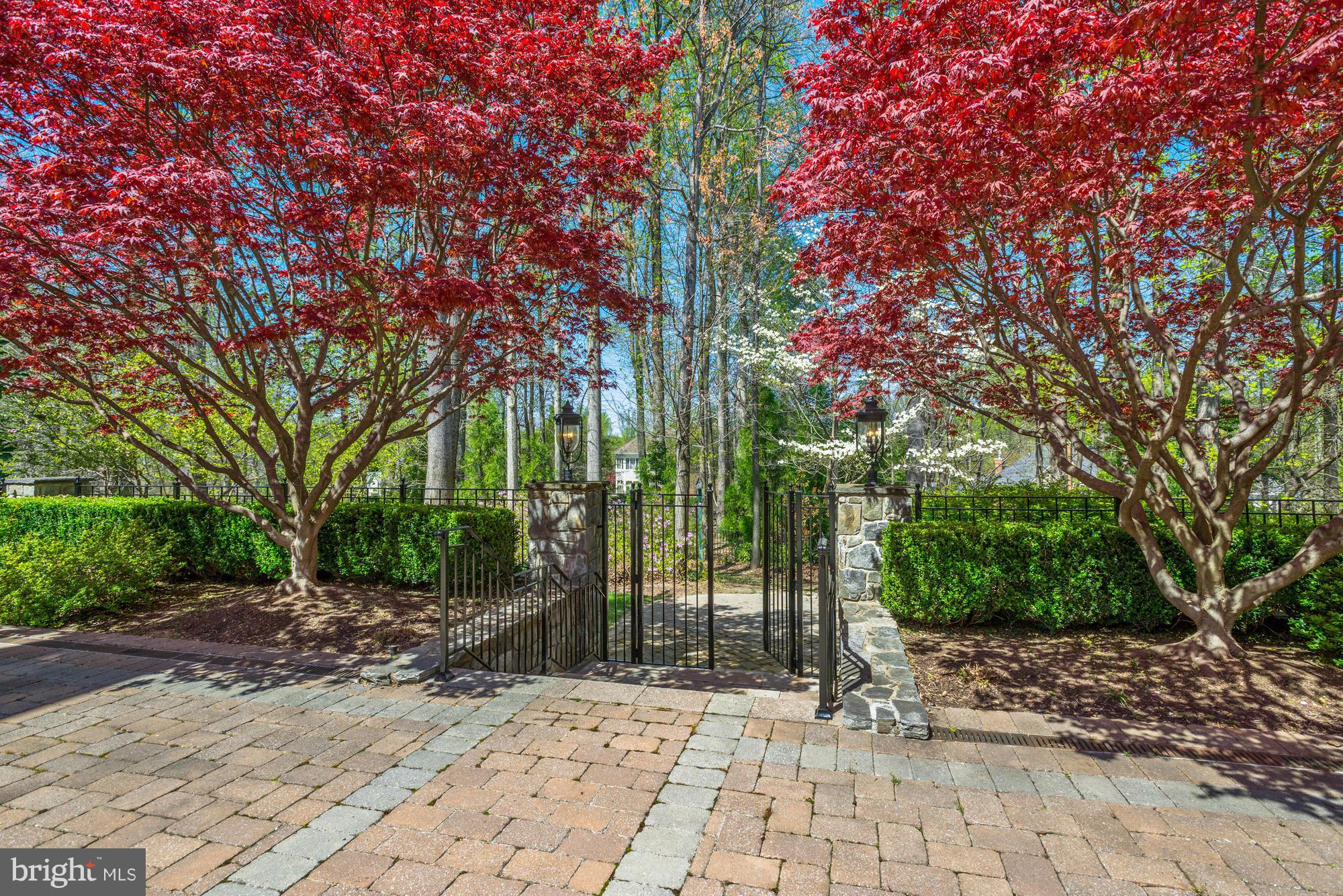 1017 Founders Ridge Lane McLean, VA 22102 - Photo 30 of 30 Terrace Opens to Yard