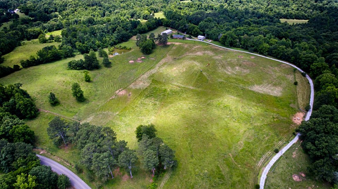 6536 Prospect Road Prospect, TN 38477 - Photo 1 of 30 a view of a garden