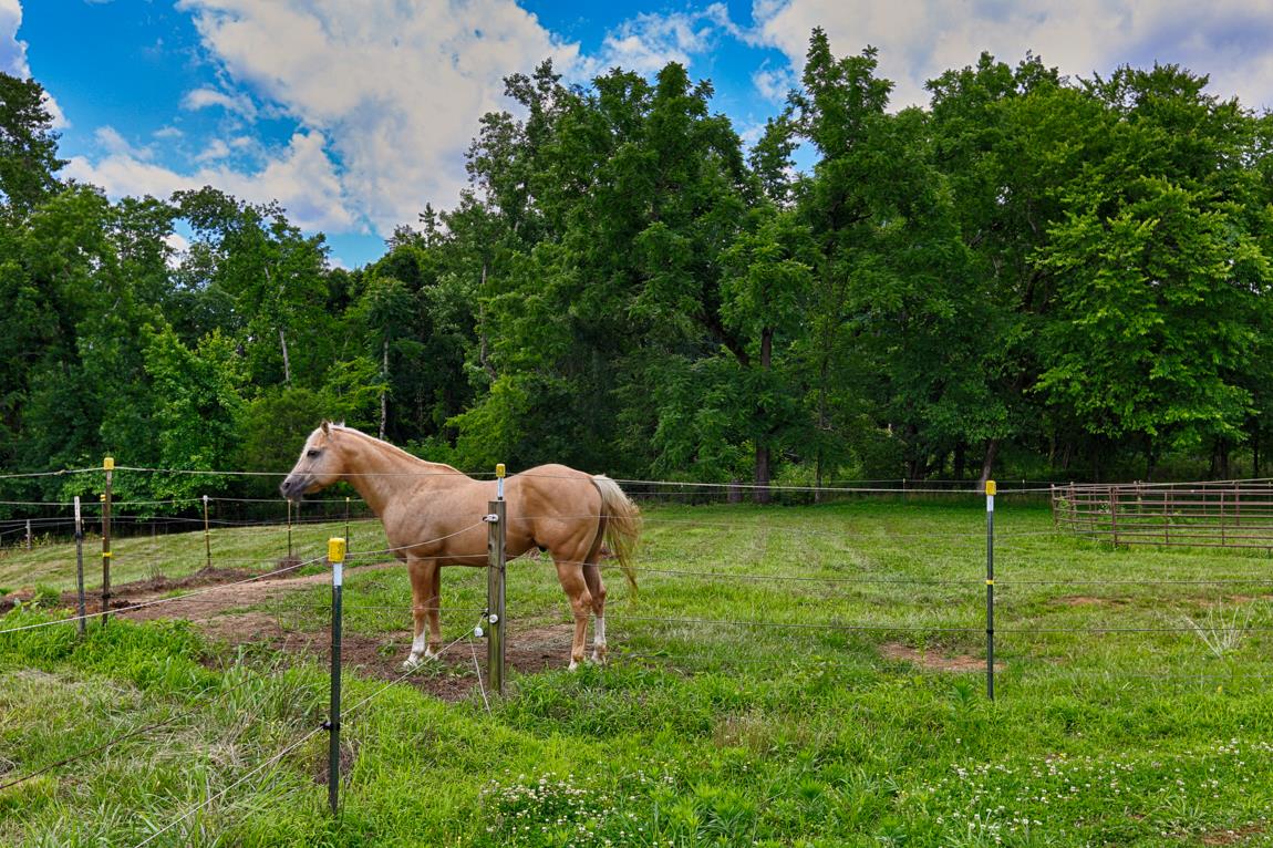 6536 Prospect Road Prospect, TN 38477 - Photo 26 of 30 a backyard of a house with table and chairs