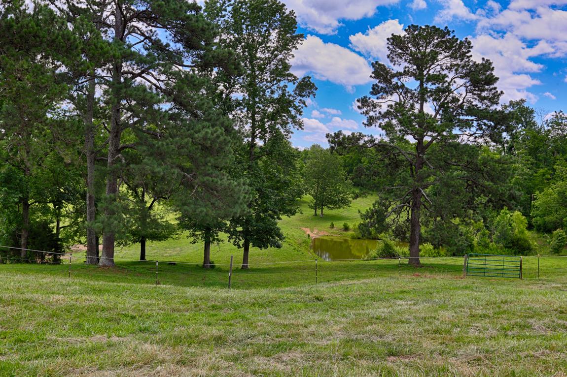 6536 Prospect Road Prospect, TN 38477 - Photo 27 of 30 a view of a trees in a yard