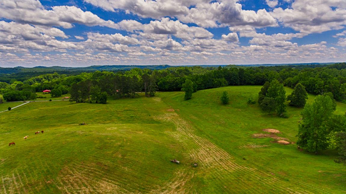 6536 Prospect Road Prospect, TN 38477 - Photo 29 of 30 a view of an outdoor space and a yard