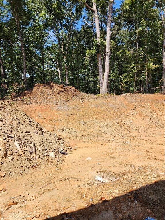 100 Gleneagles Way Pendergrass, GA 30567 - Photo 23 of 24