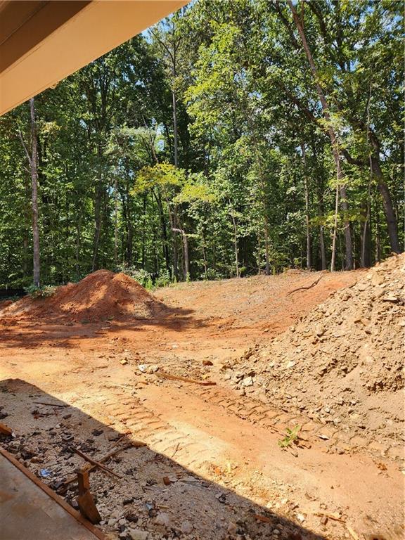 100 Gleneagles Way Pendergrass, GA 30567 - Photo 24 of 24