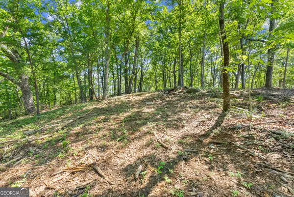 $85,000 | 95 Chimney Oaks Trail, Cleveland, GA 30528
