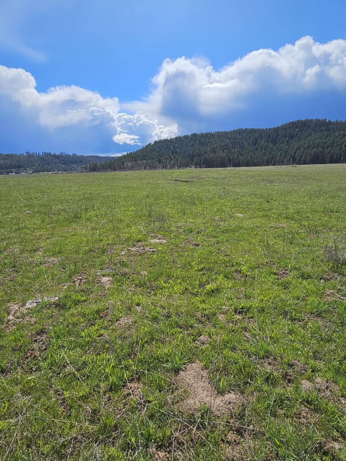 4627 Springdale Hunters Road Springdale, WA 99173 - Photo 11 of 14