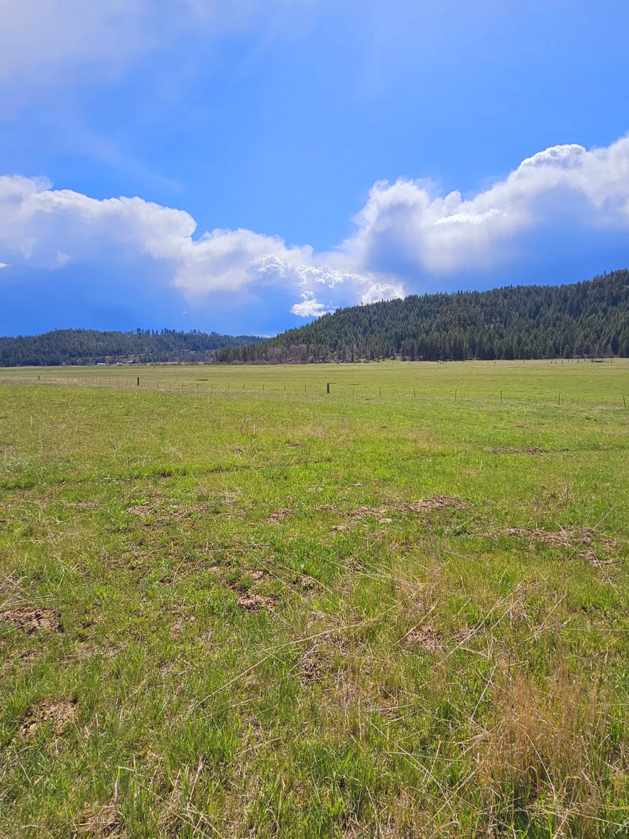 4627 Springdale Hunters Road Springdale, WA 99173 - Photo 12 of 14
