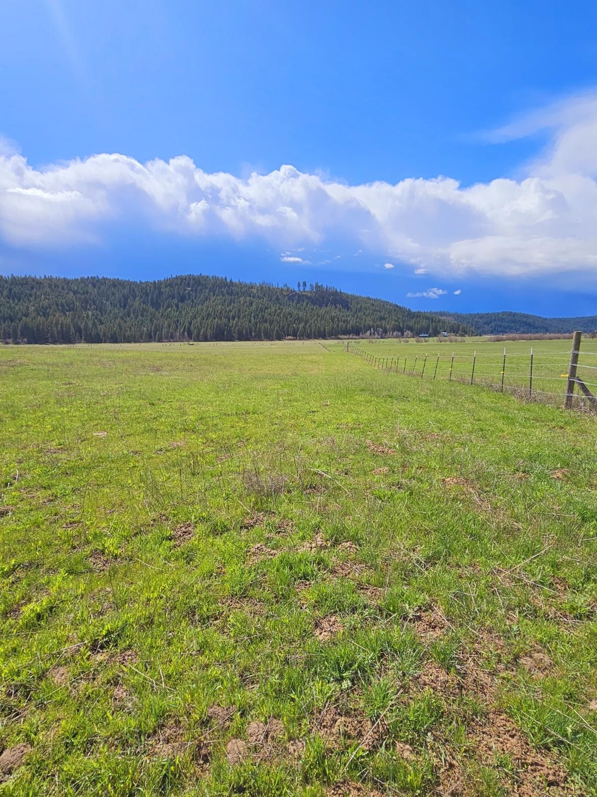 4627 Springdale Hunters Road Springdale, WA 99173 - Photo 10 of 14