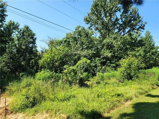 $49,000 | 0 Hwy 1206 Highway, Deville, LA 71328