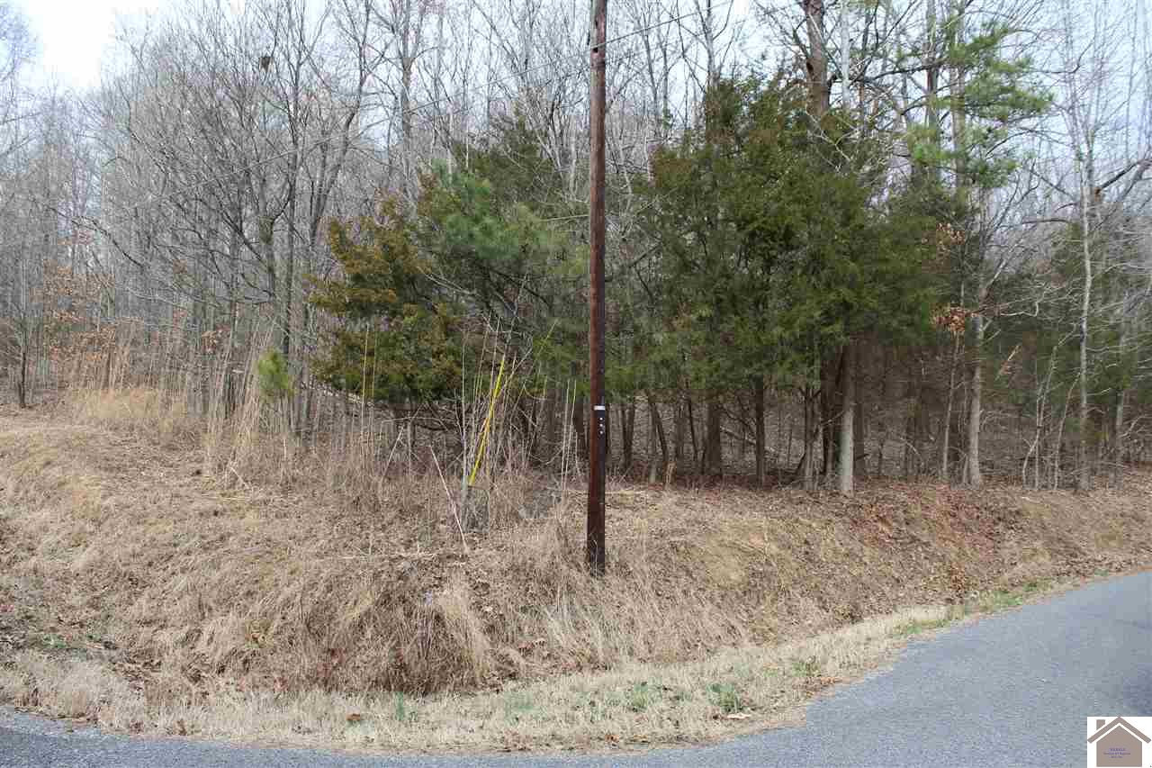 Lot 7 Roy Harris Road, Unit 7 Kuttawa, KY 42055 - Photo 1 of 1 Photo 1