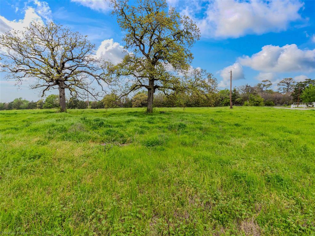 0 Eason Street Terrell, TX 75160 - Photo 16 of 17 View of nature with a rural view