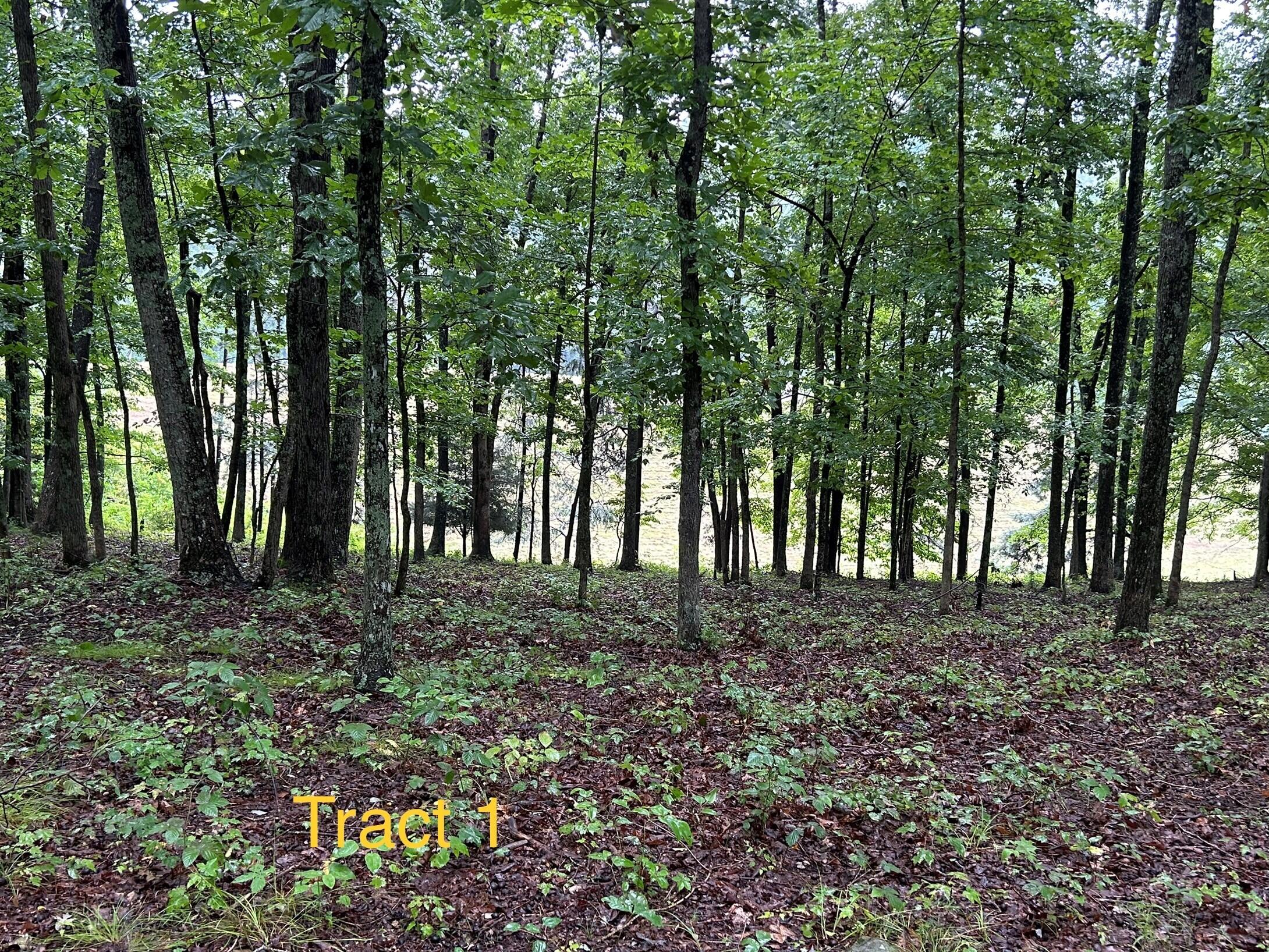 1 Langdon Branch Road Annville, KY 40402 - Photo 14 of 30 Tract 1-25 ak