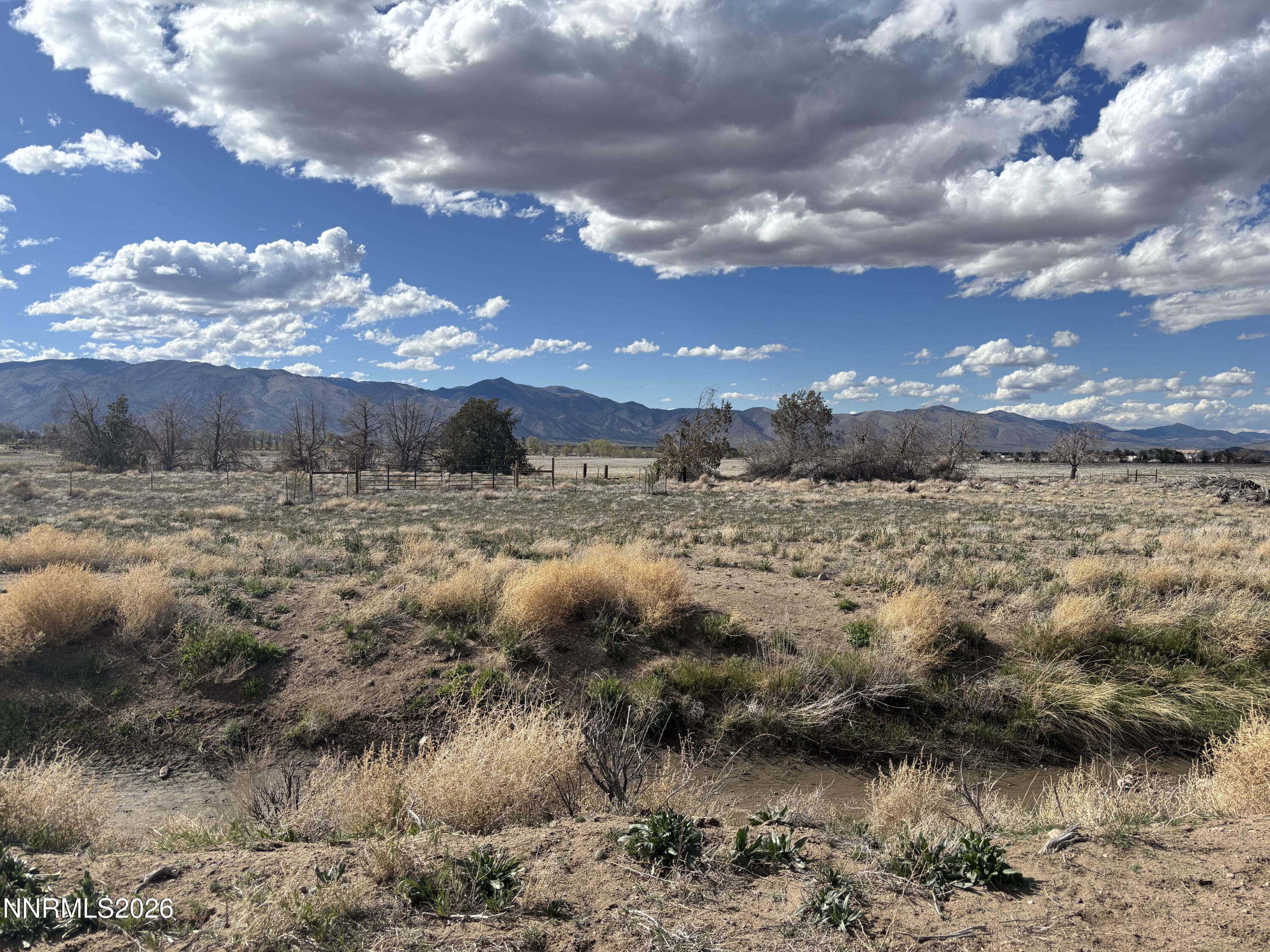 C1-View of Property to Westerly Fencelin