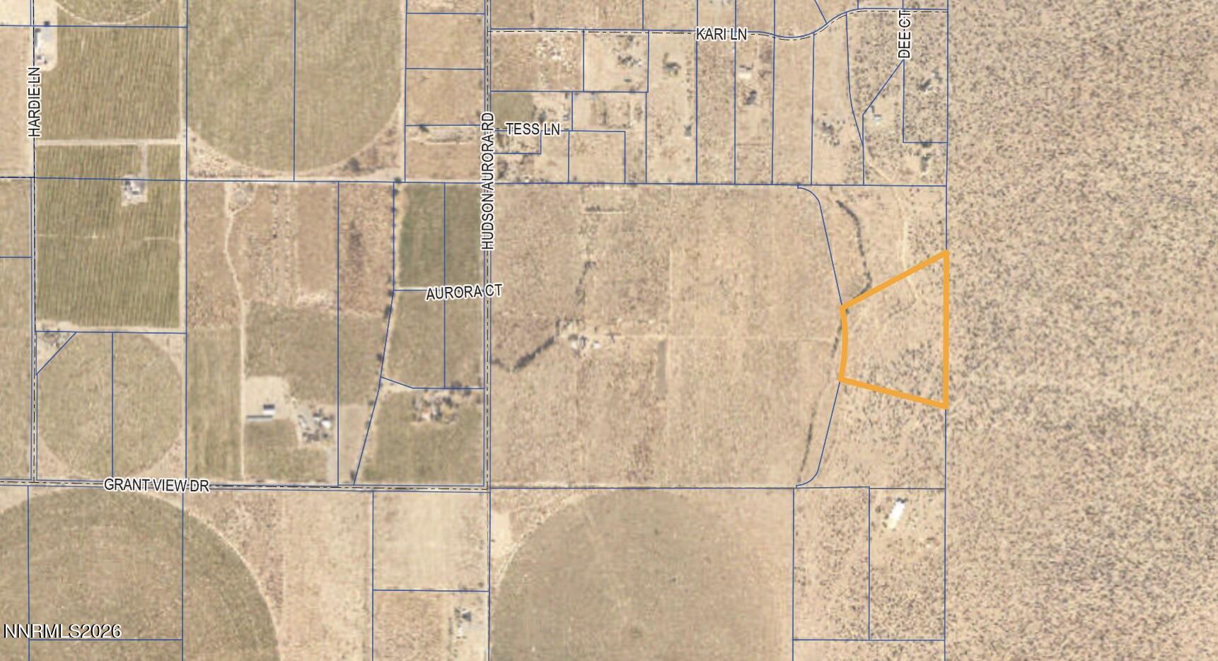C1 Grant View Drive Smith, NV 89430 - Photo 11 of 11 Parcel Map