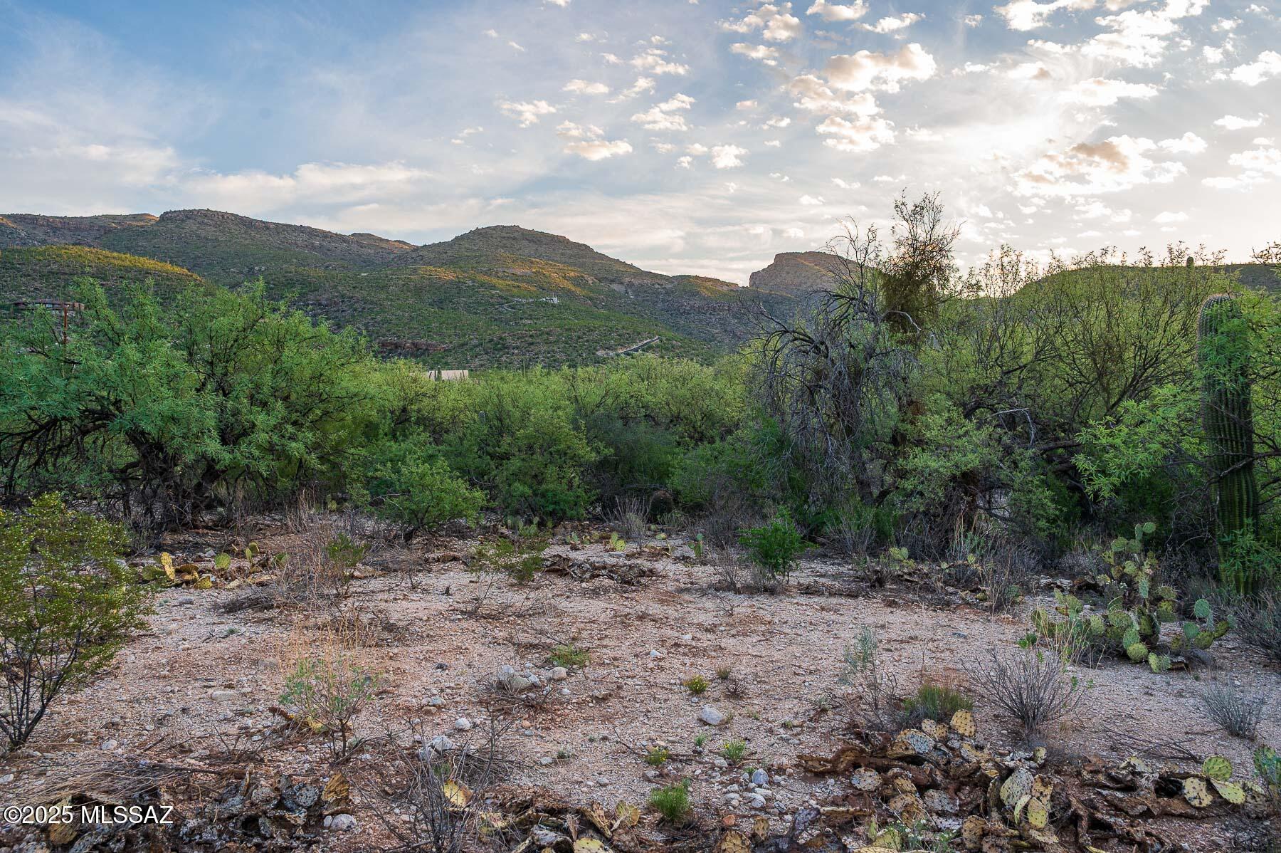 12550 East Horsehead Road Tucson, AZ 85749 - Photo 15 of 29