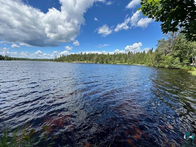 1804 North Bay Road Ely, MN 55731 - Photo 17 of 37 Water view