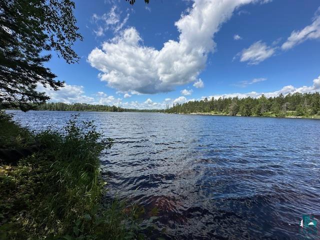 1804 North Bay Road Ely, MN 55731 - Photo 21 of 37 Water view