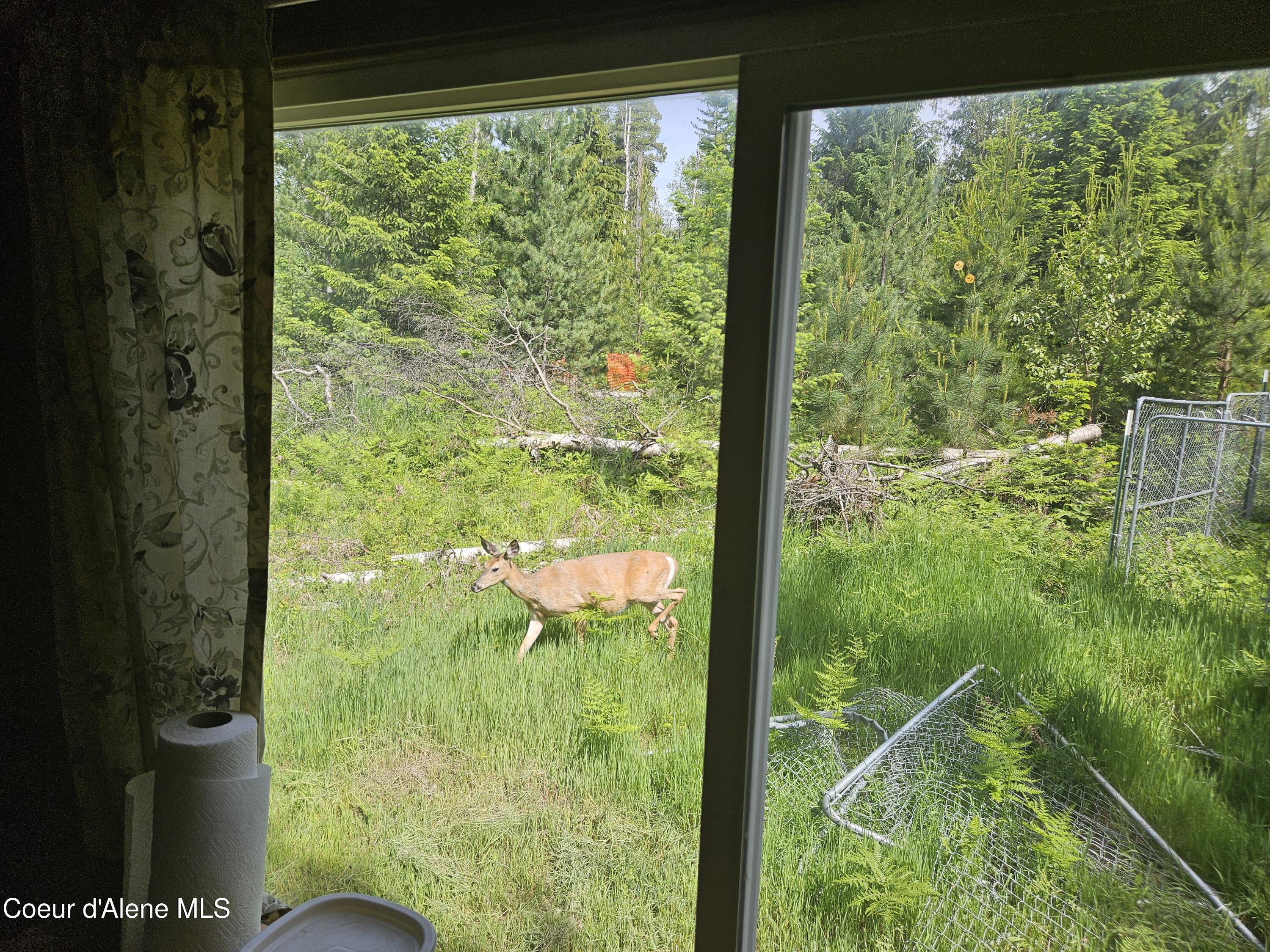 109 Geronimo Lane Sandpoint, ID 83864 - Photo 35 of 36 Wildlife