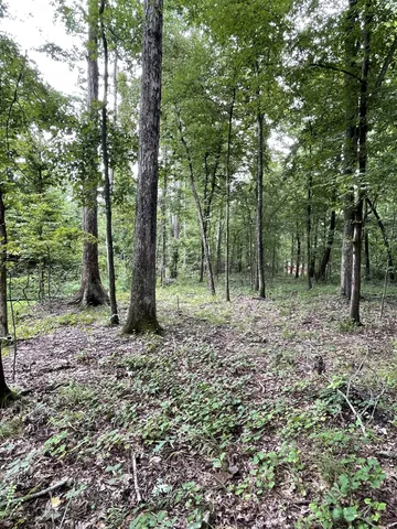 $47,500 | 0 Brownfield Road, Dover, TN 37058