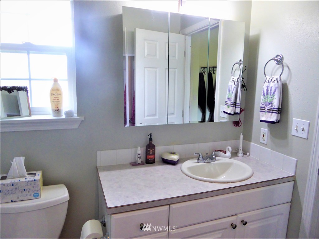 8637 194th Avenue Southwest Rochester, WA 98579 - Photo 22 of 37 a bathroom with a sink and a mirror with toilet
