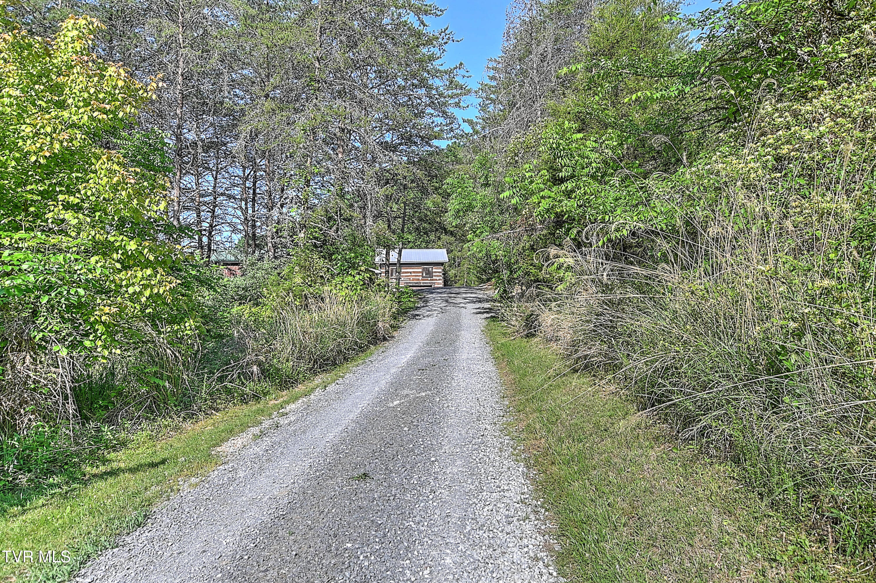 3388 Flower Gap Road Blackwater, VA 24221 - Photo 4 of 161 3388 Flower Gap Rd DS-2