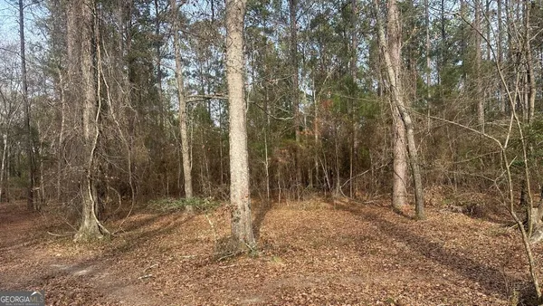 $260,000 | 2 Country Club Road, Unit LOT 2, Sylvania, GA 30467