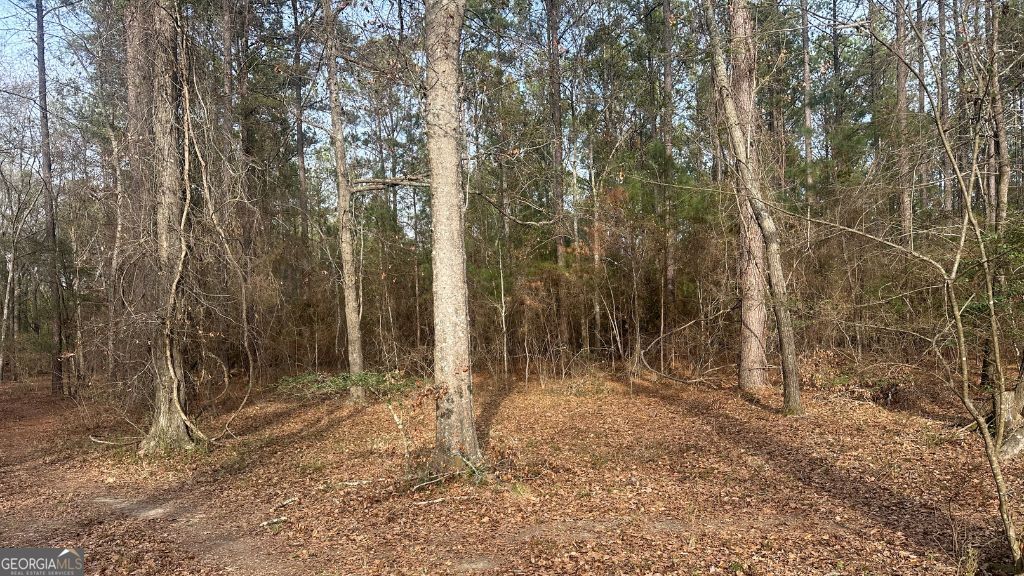 2 Country Club Road, Unit LOT 2 Sylvania, GA 30467 - Photo 11 of 31