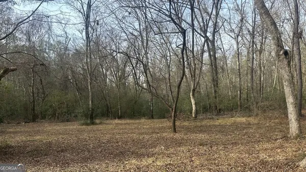 $260,000 | 2 Country Club Road, Unit LOT 2, Sylvania, GA 30467